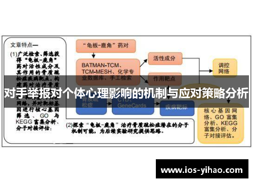 对手举报对个体心理影响的机制与应对策略分析