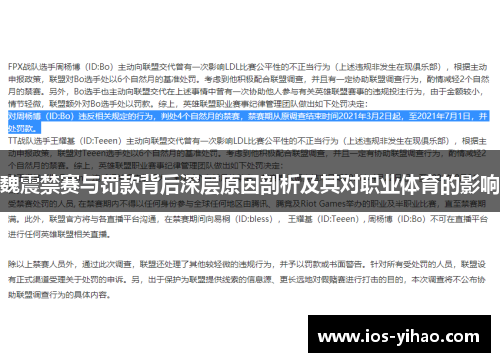 魏震禁赛与罚款背后深层原因剖析及其对职业体育的影响