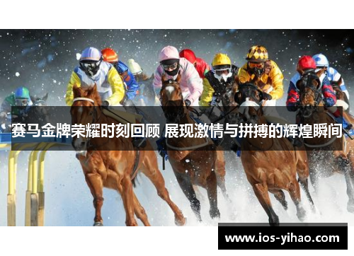 赛马金牌荣耀时刻回顾 展现激情与拼搏的辉煌瞬间