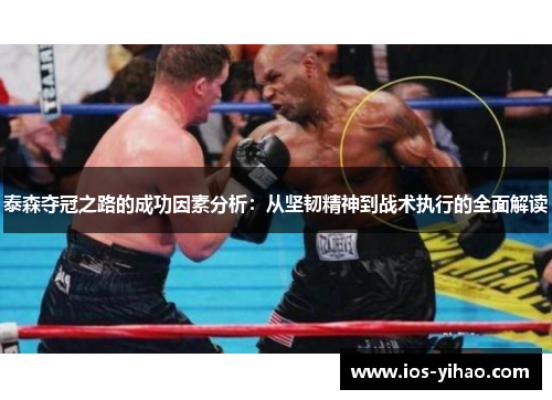 泰森夺冠之路的成功因素分析：从坚韧精神到战术执行的全面解读