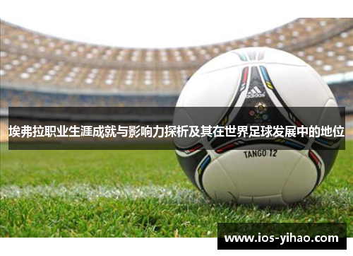 埃弗拉职业生涯成就与影响力探析及其在世界足球发展中的地位