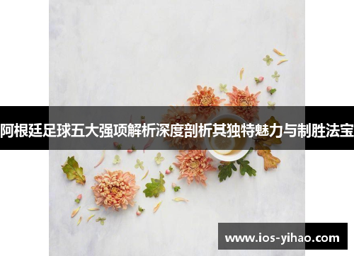 阿根廷足球五大强项解析深度剖析其独特魅力与制胜法宝